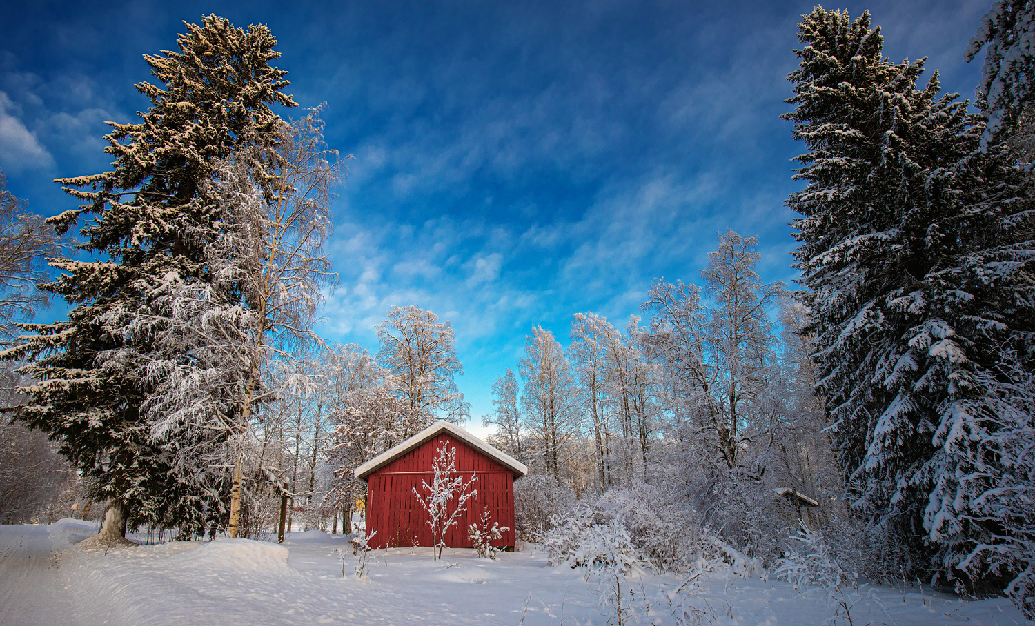 Unterm blauen Himmel