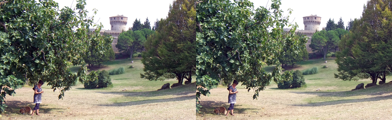 Unterm Feigenbaum...(3D-X-View+Link zum 3D-Player für Anaglyphe etc.)