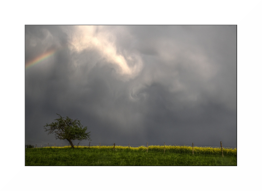 unterm Regenbogen