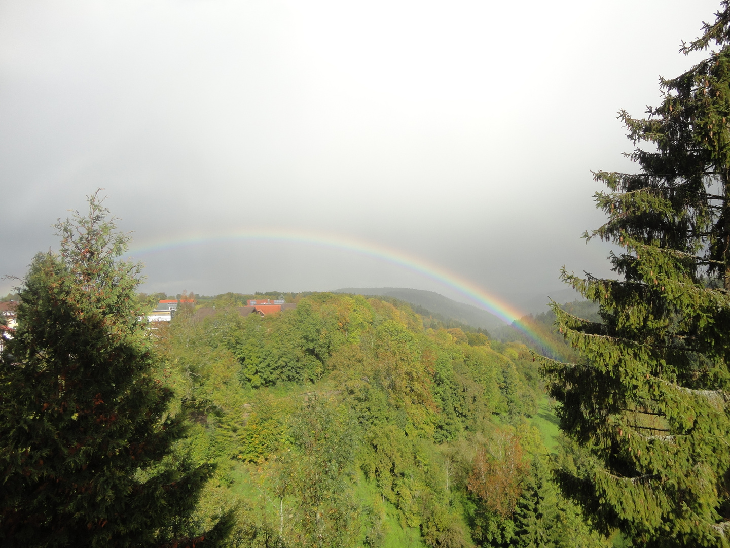 ...unterm Regenbogen