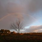 unterm Regenbogen