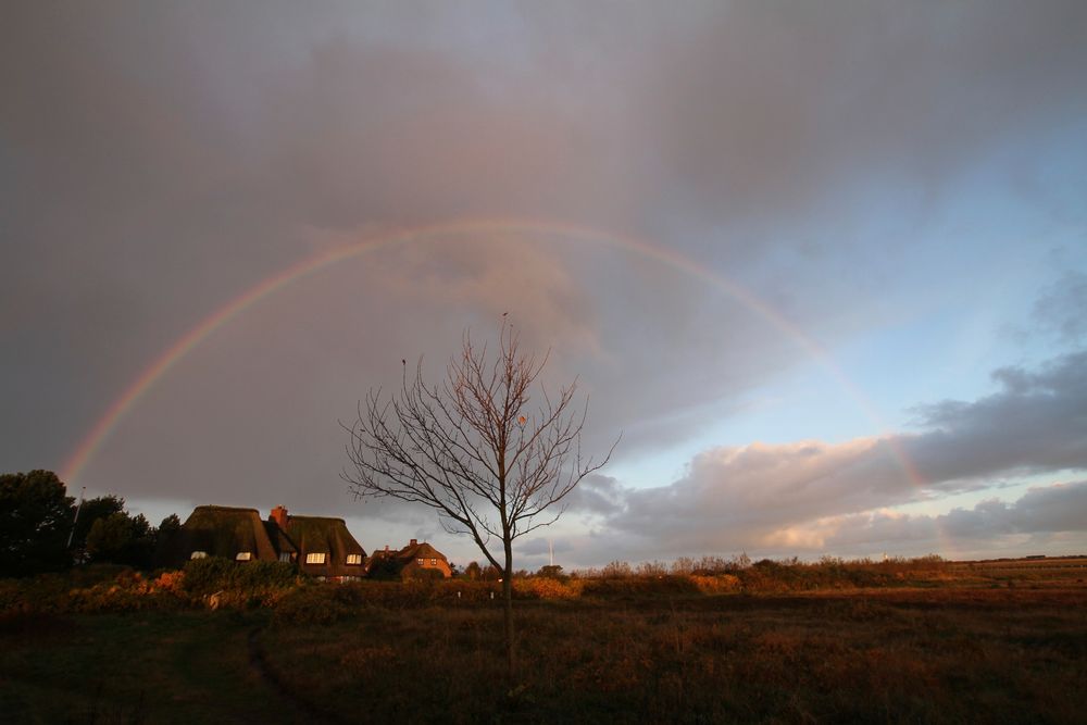 unterm Regenbogen