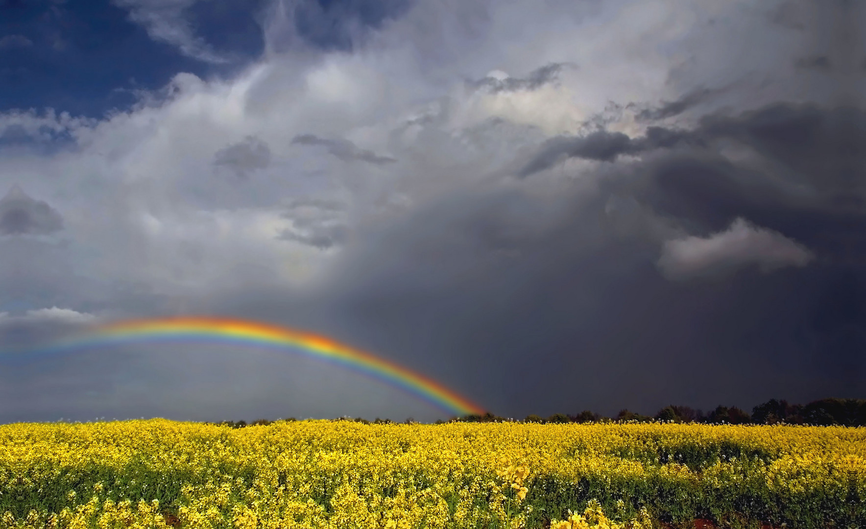 Unterm Regenbogen