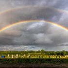 Unterm Regenbogen