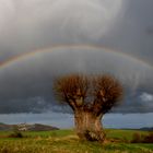 Unterm Regenbogen