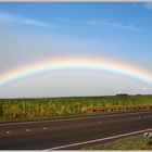 Unterm Regenbogen ...