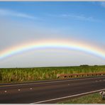 Unterm Regenbogen ...