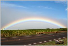 Unterm Regenbogen ...