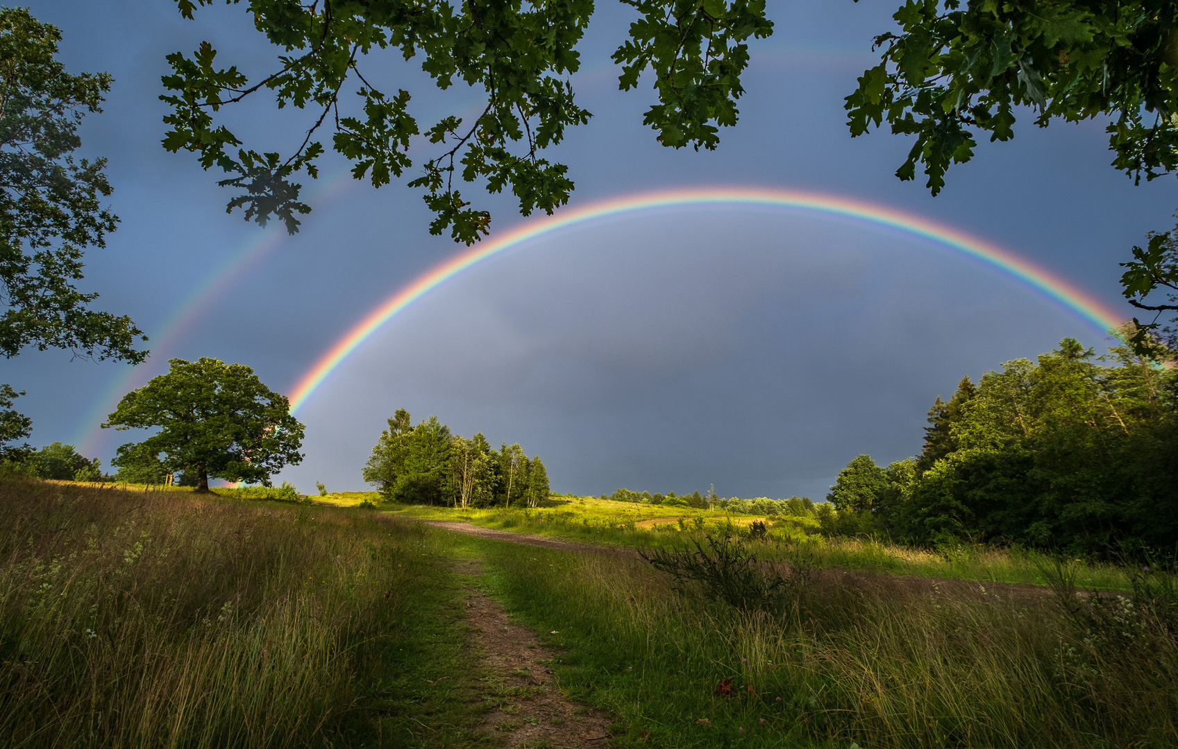 Unterm Regenbogen.