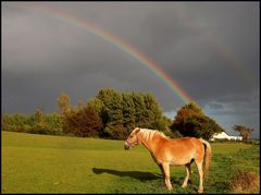 Unterm Regenbogen