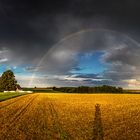 unterm regenbogen