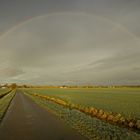 Unterm Regenbogen...