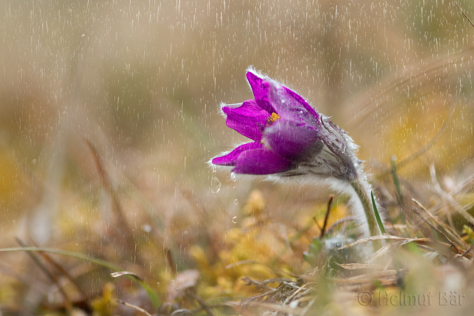 Unterm Regenschirm