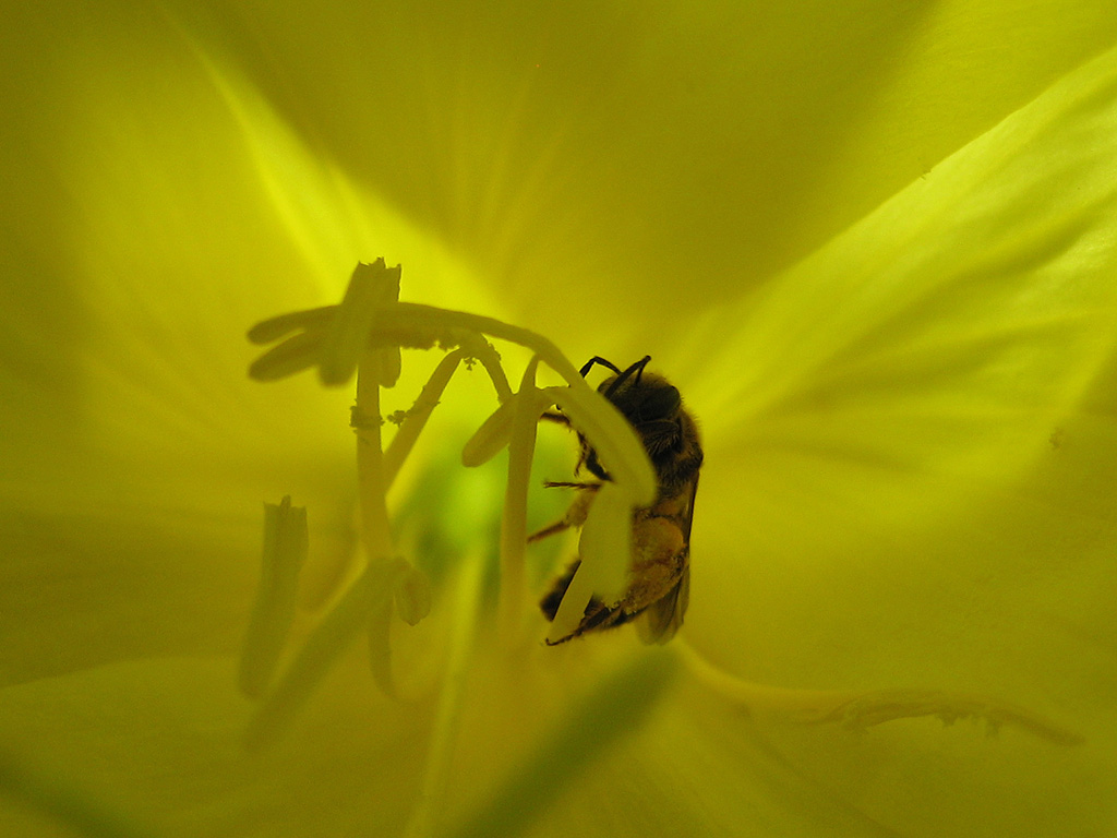 unterm Sonnenschirm