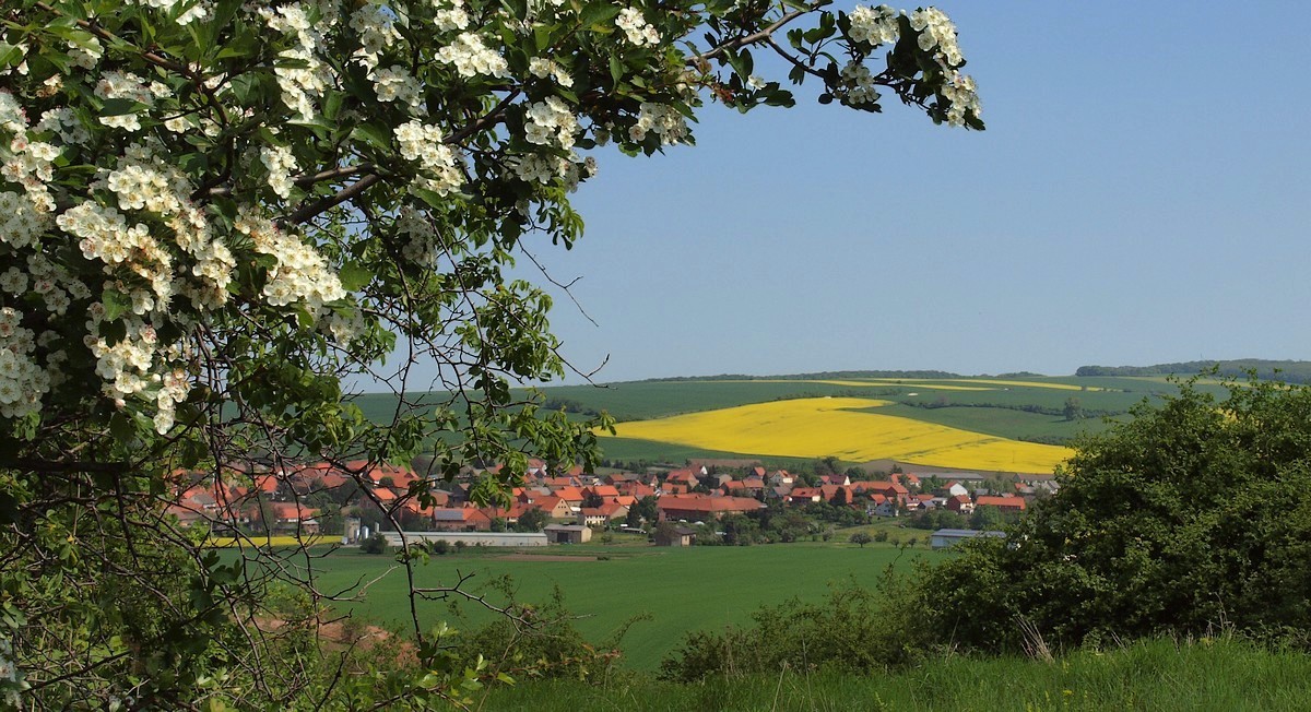 Unterm Weißdornbusch