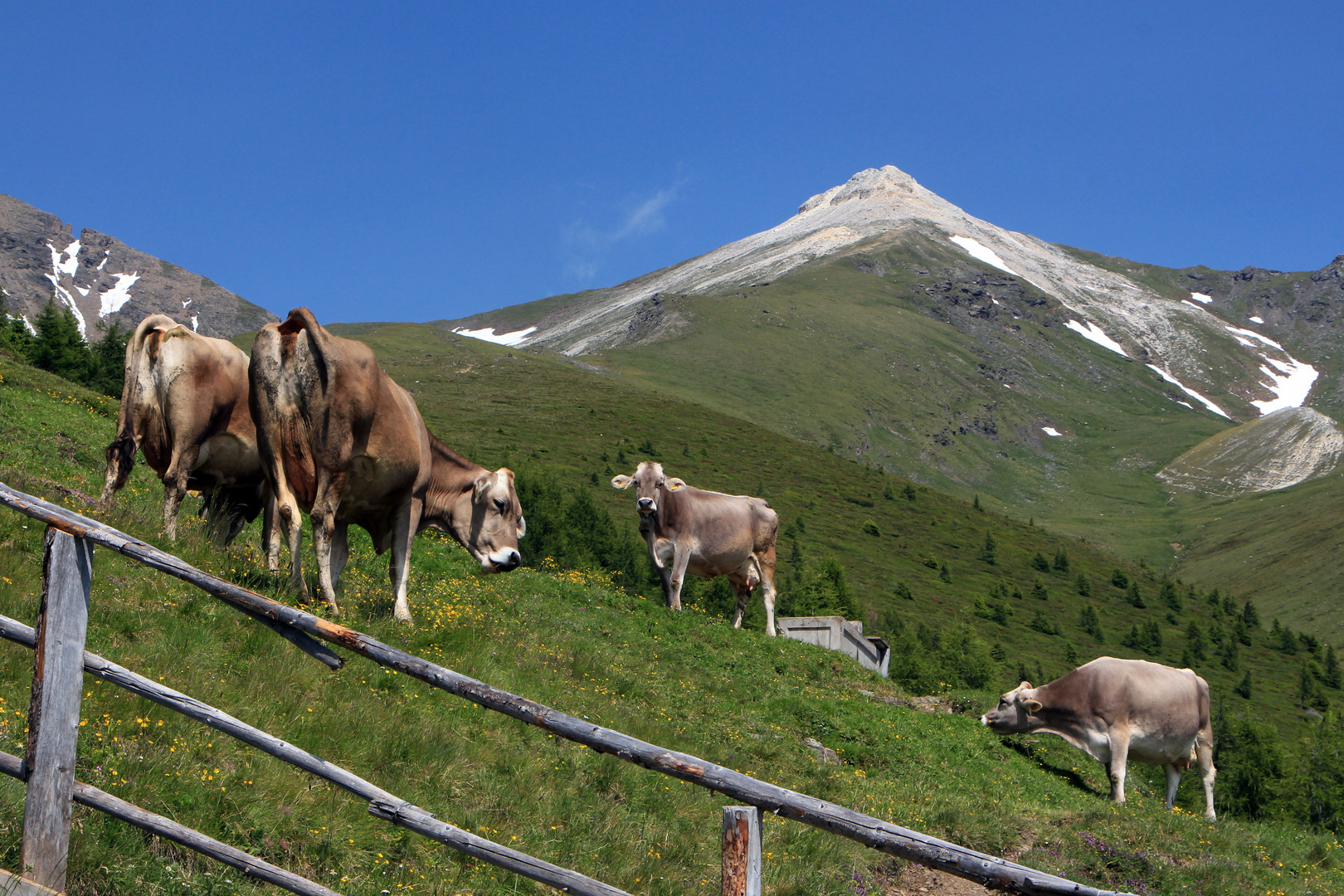 unterm Weisspitz