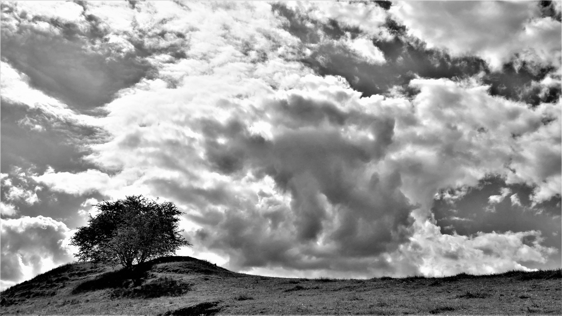 Unterm Wolkengetümmel ...