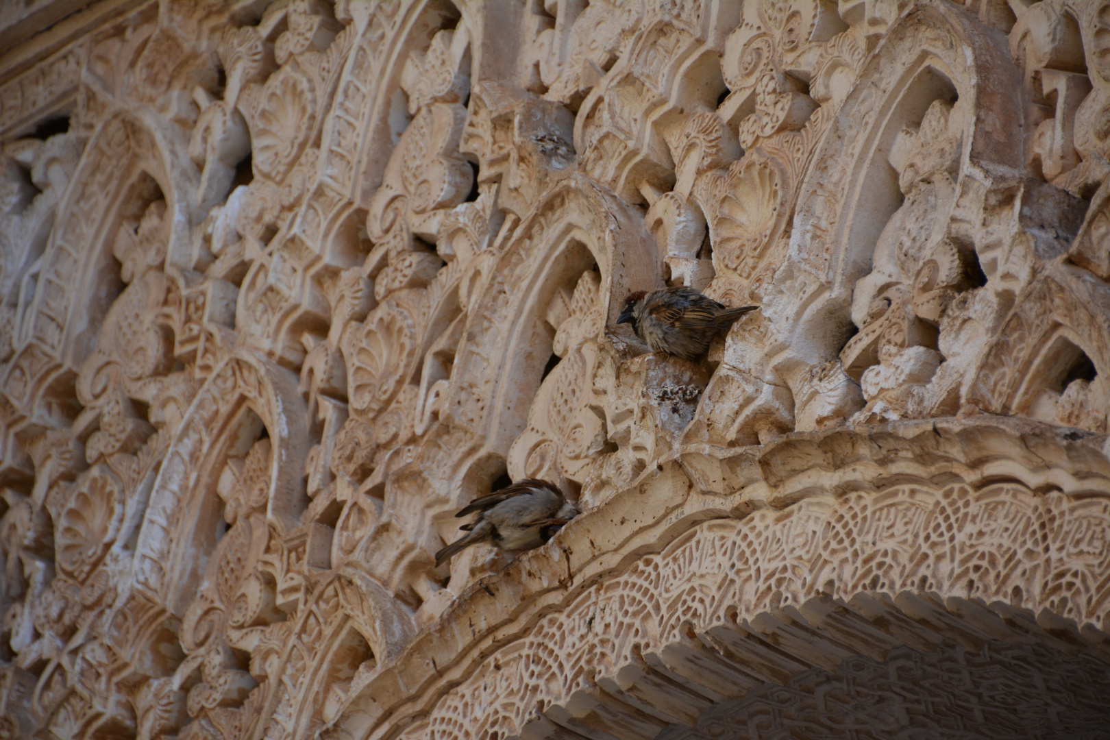 Untermieter in der Alhambra