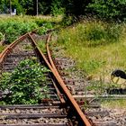 UNTERNEHMEN ZUKUNFT, GEPLANT VON AUTO-VERKEHRSMINISTERN