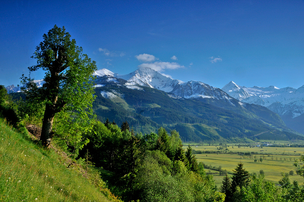 unterpinzgau