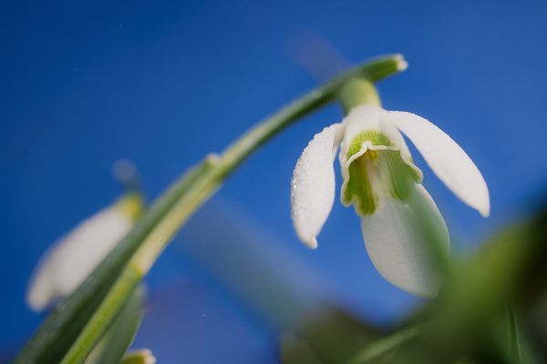 unters weiße Röckchen geschaut