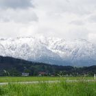 Untersberg im Mai