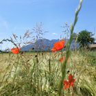 Untersberg (Sicht aus Ainring, Ortsteil Ed)