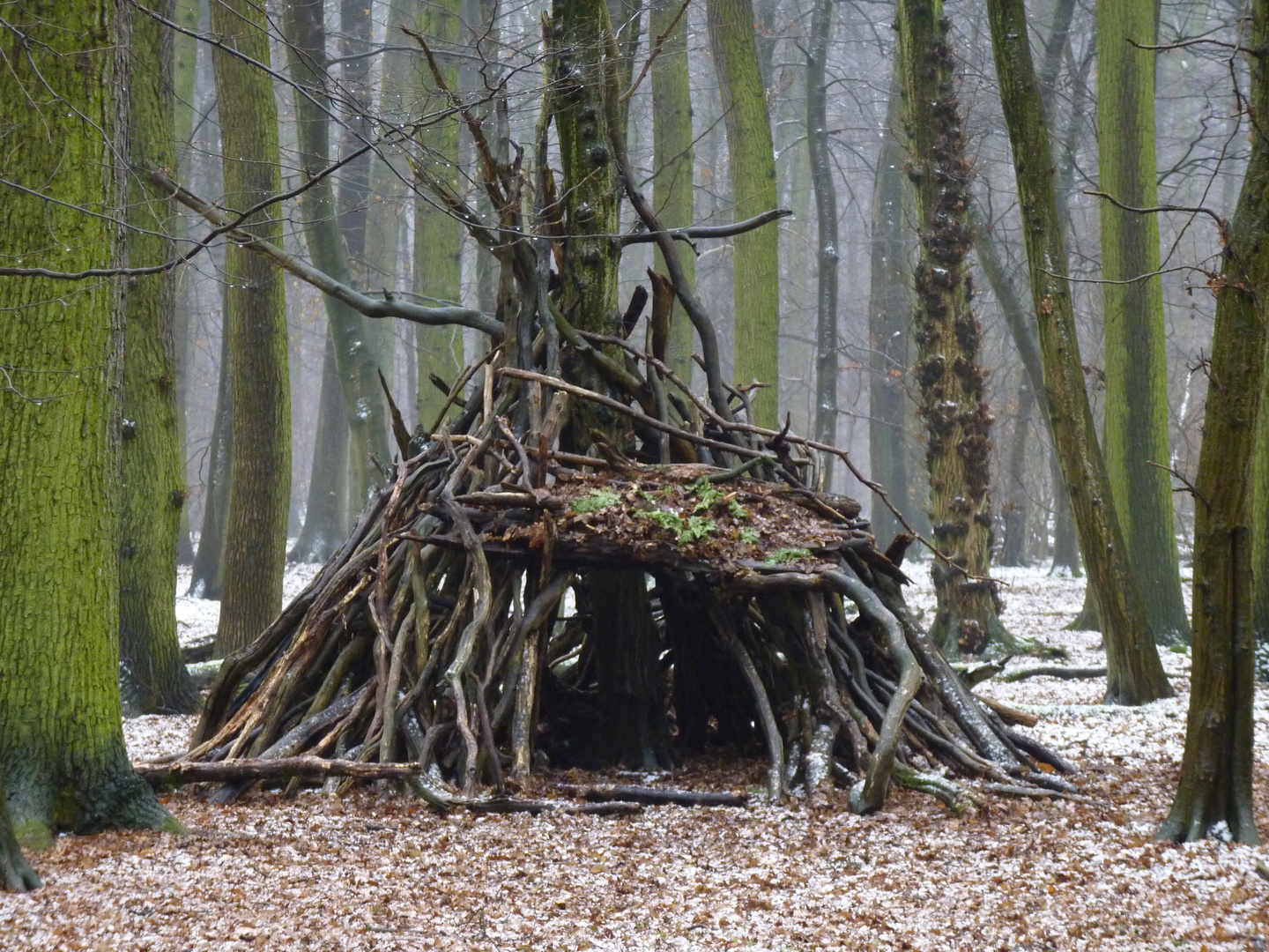 Unterschlupf... Foto & Bild | landschaft, wald, warte Bilder auf ...