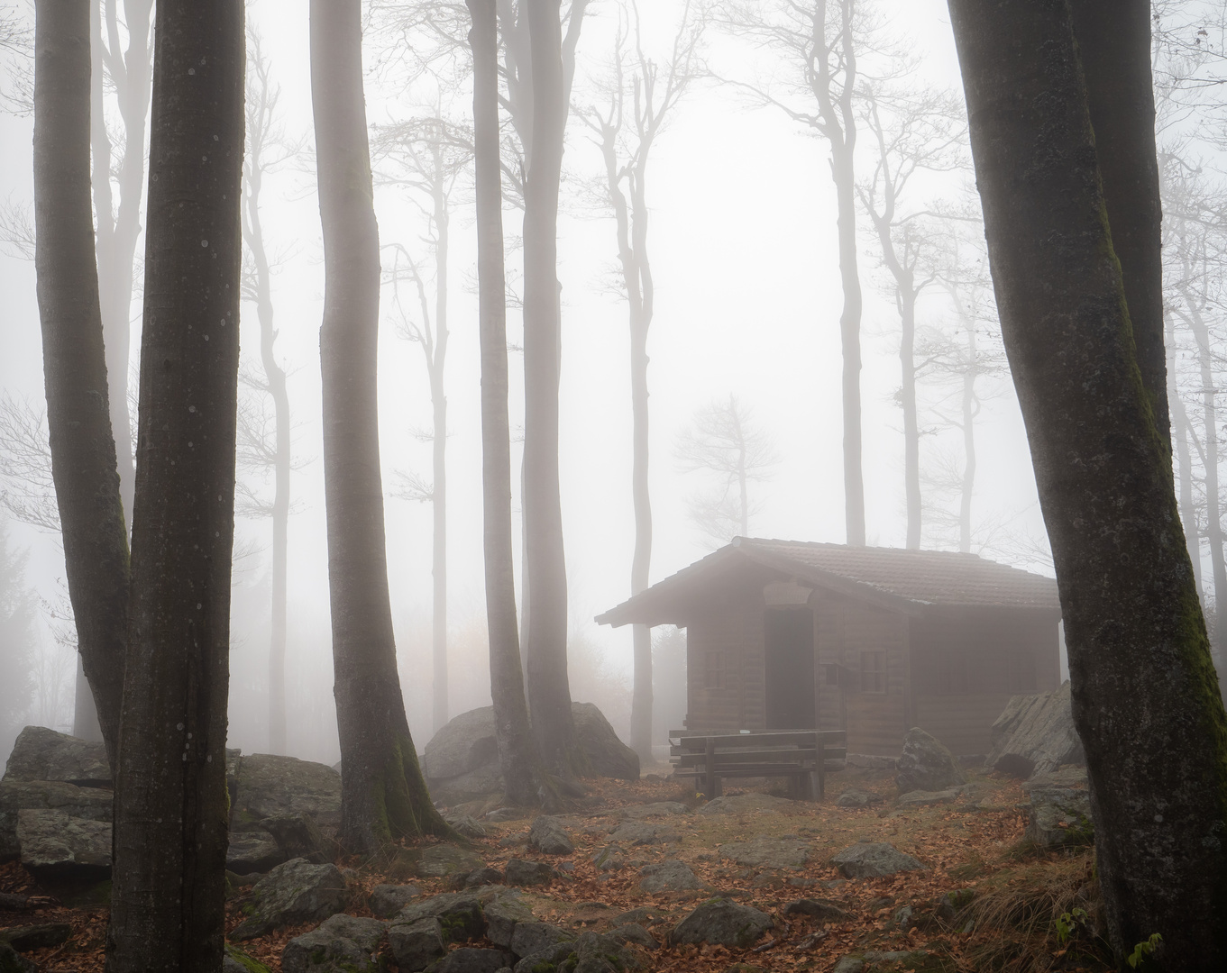 Unterschlupf im Wald