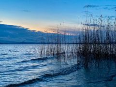 Untersee