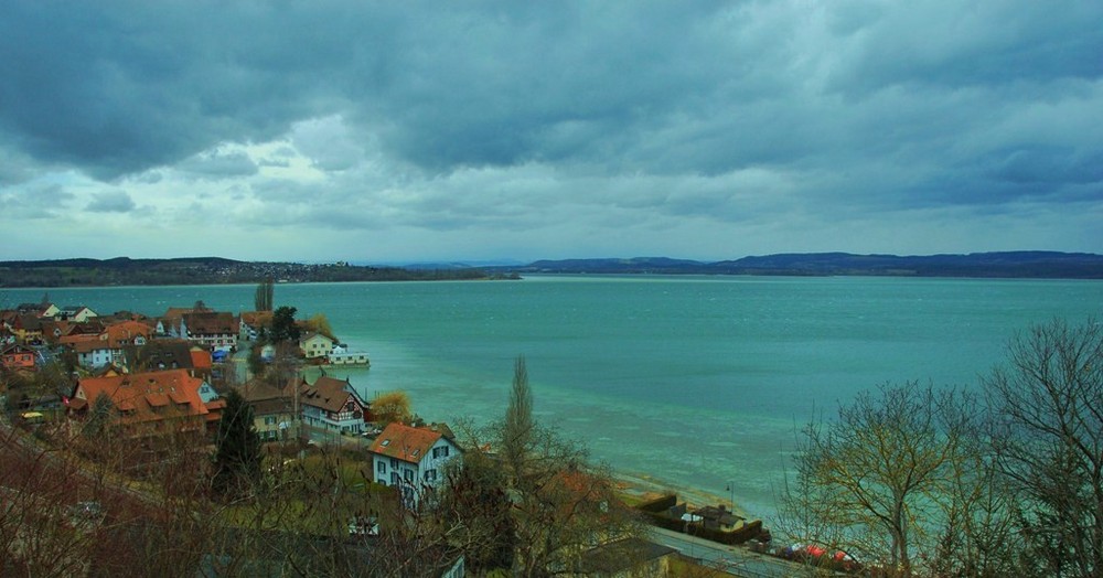 Untersee bei Berlingen Kt.Thurgau Schweiz