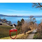 Untersee beim Schloss Arenenberg