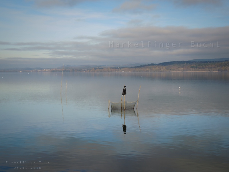 Untersee