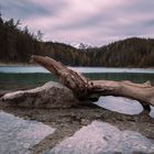 Untersee (Eibsee)