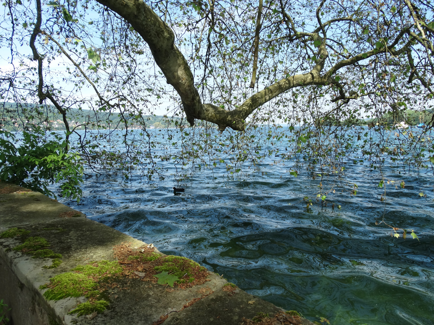 Untersee Mammern