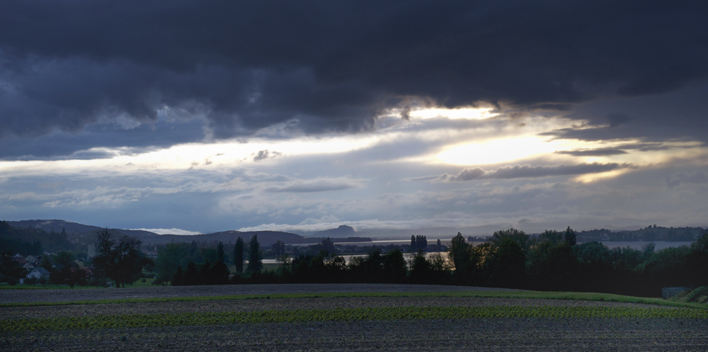 Untersee mit Hohentwil