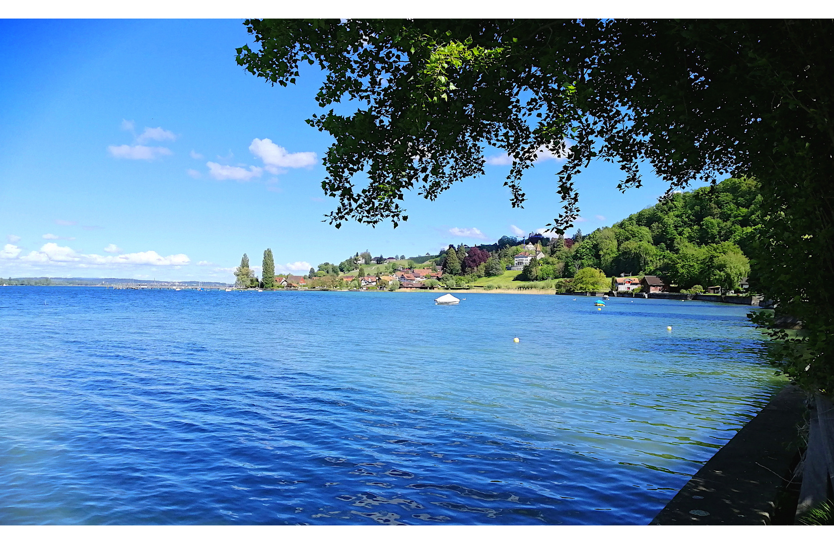 Untersee mit u.a. den Schlössern Arenenberg und Wartburg