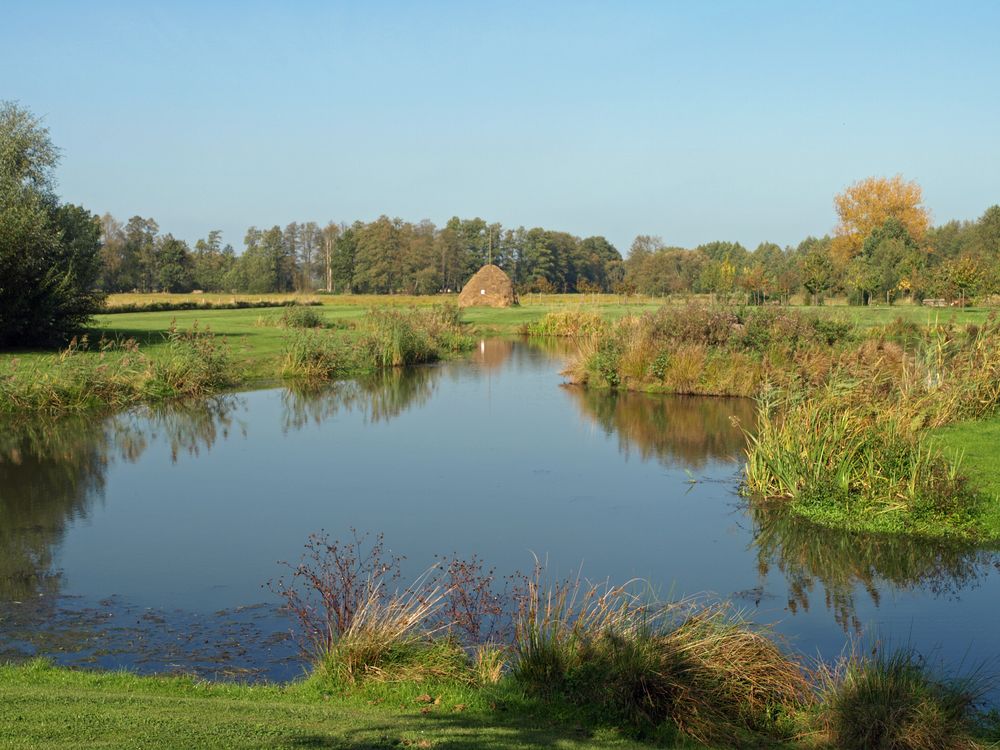 Unterspreewald bei Schlepzig