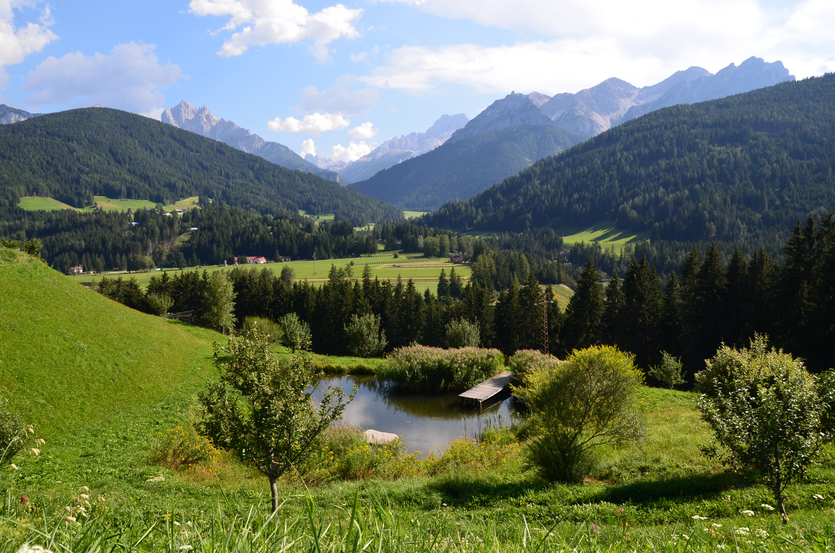 Unterstein im Pustatal