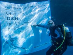 Unterstützung der Europäischen Bürgerinitiative "Stop Finning - Stop the Trade"