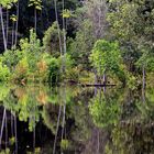 Untertwegs auf dem Amazonas