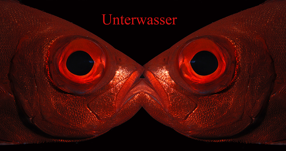 Unterwasser 2015