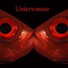 Unterwasser 2015