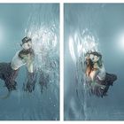 Unterwasser-Collage