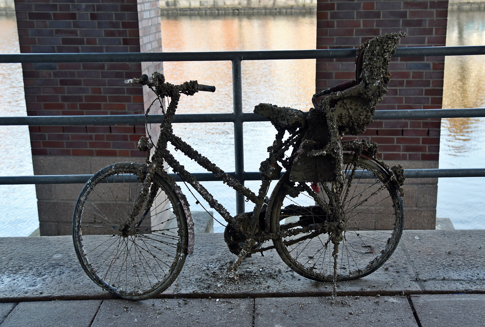 Unterwasser-Fahrrad an der Untertrave