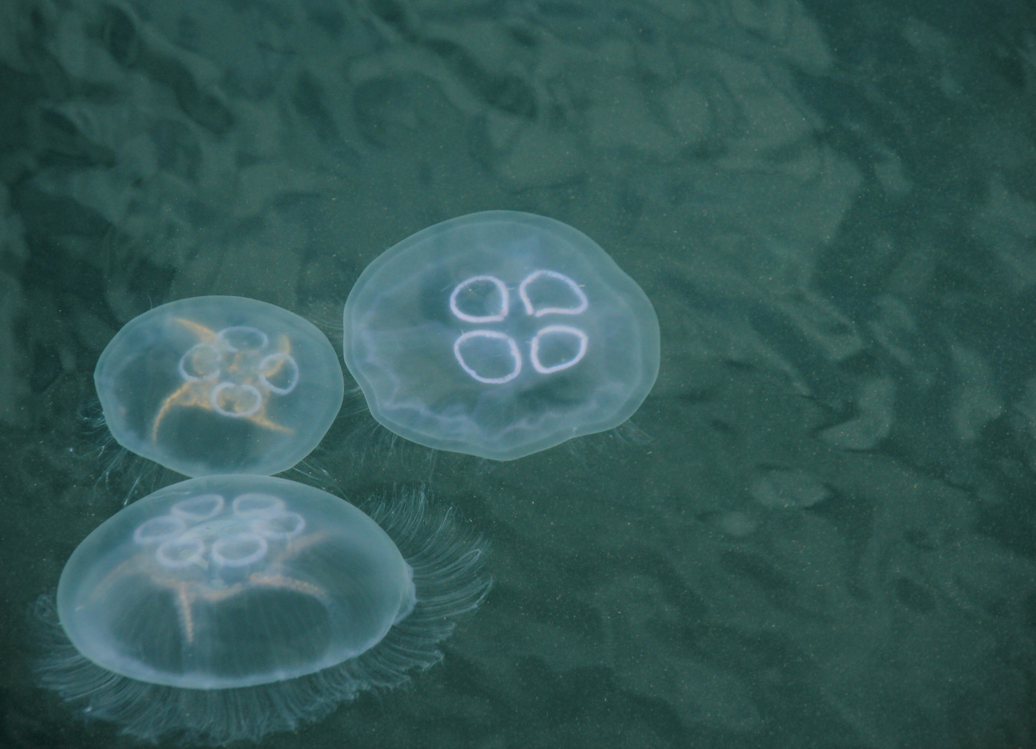 Unterwasserbeleuchtung