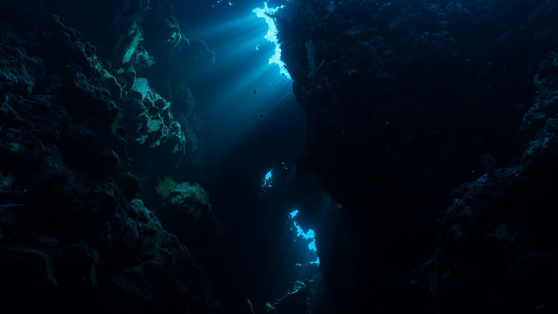 Unterwasserhöhle 1