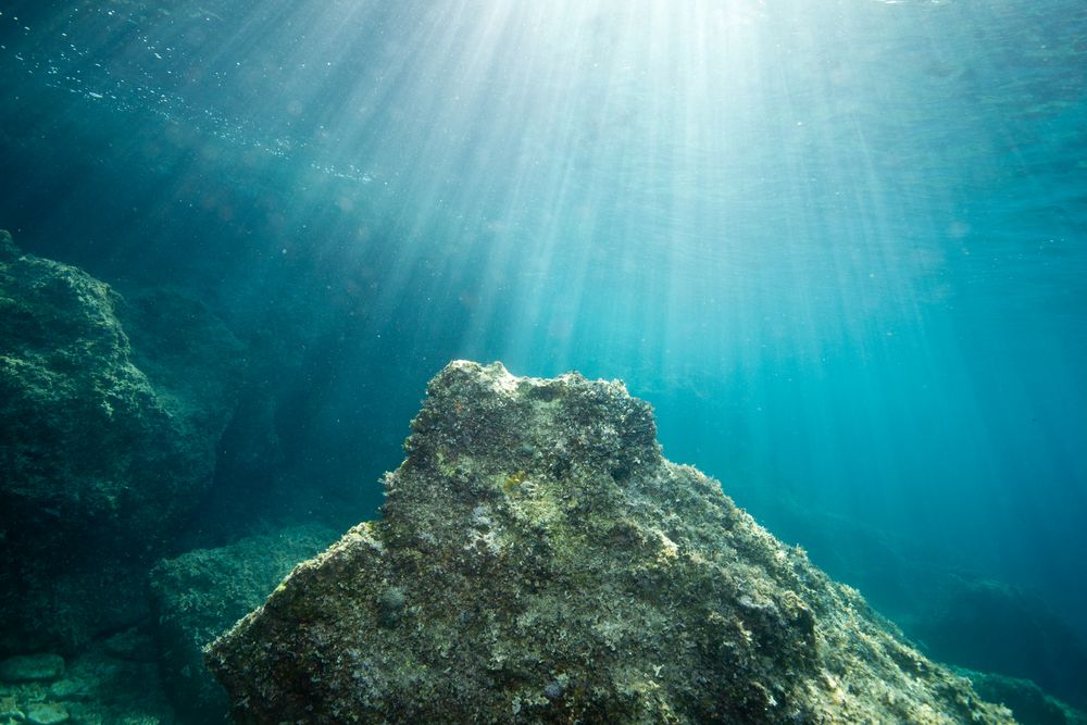 Unterwasserlandschaft Foto & Bild | landschaft, unterwasserfotos