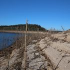 " Unterwasserwald "  im Trockenen