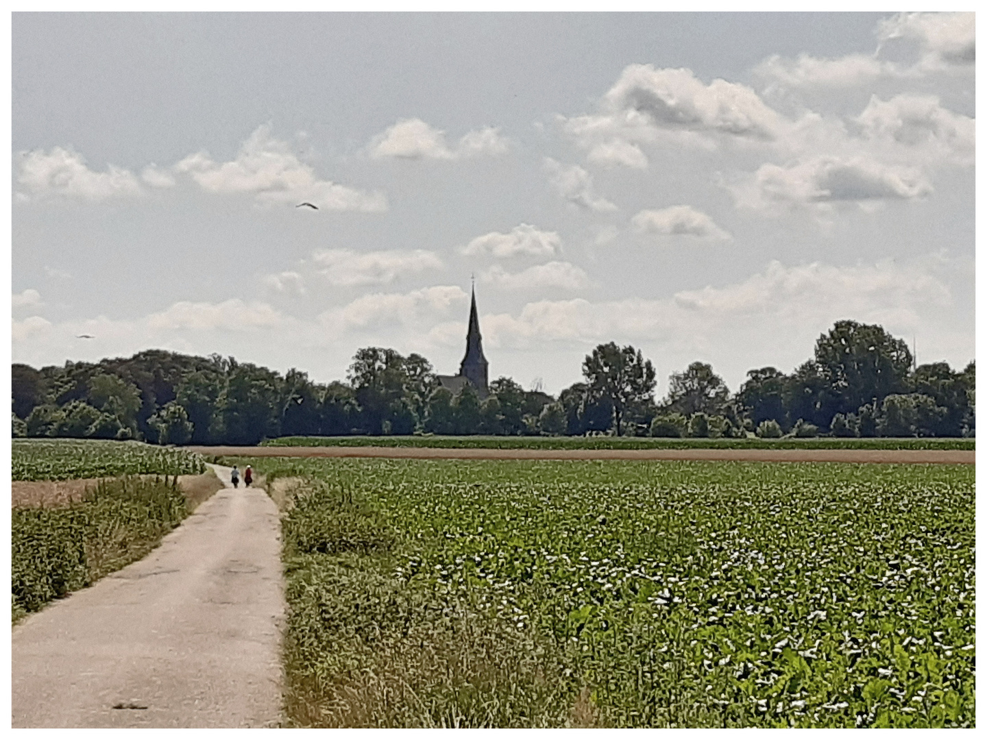 Unterwegs 85 - Zurück im schönen Ruhrgebiet